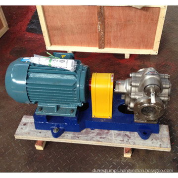 KCB300 Stainless Steel Gear Oil Pump